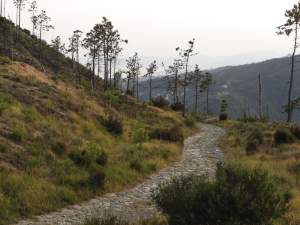 Xtrallusion photo library of independent, self-guided walking and sightseeing holidays in Italy. Pictures, images, photos and photographs taken along the way of this 1-day walking itinerary, to give you a visual impression of the day's walk.